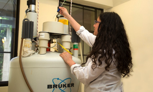 Resonancia Magnética Nuclear